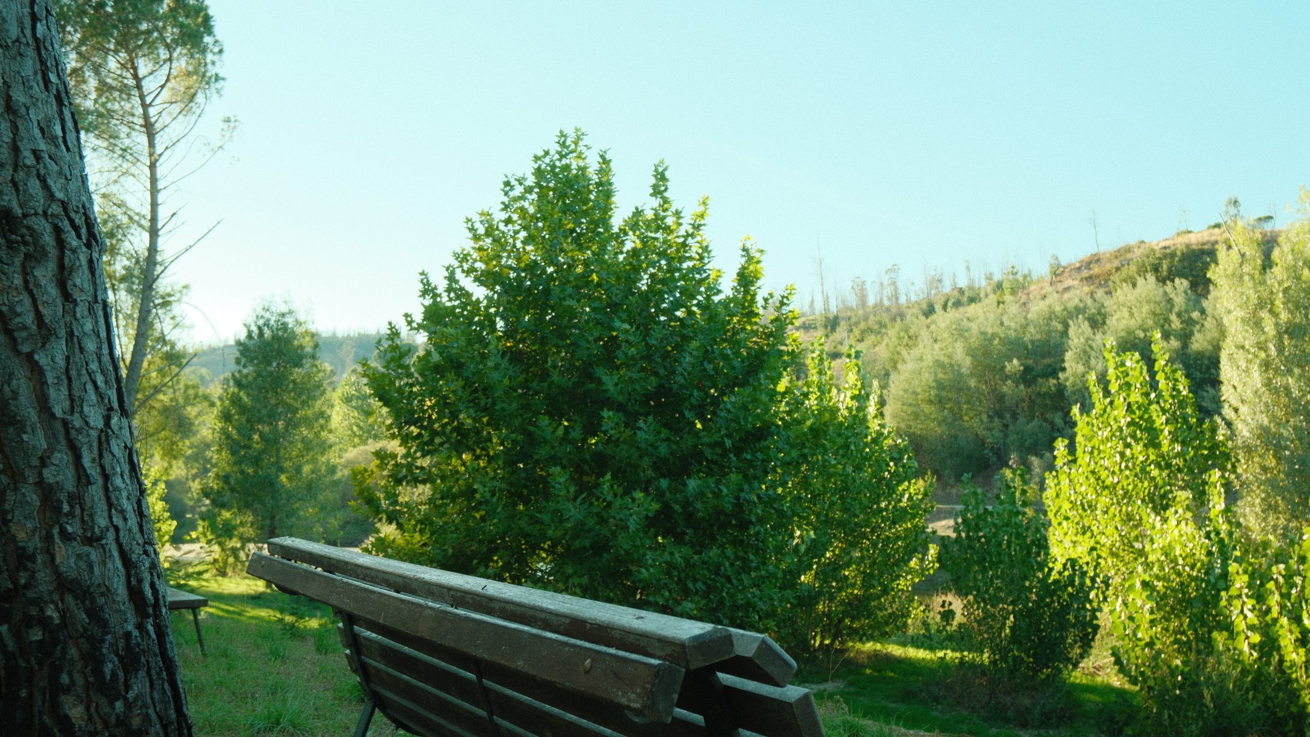Quinta do Bugueiras