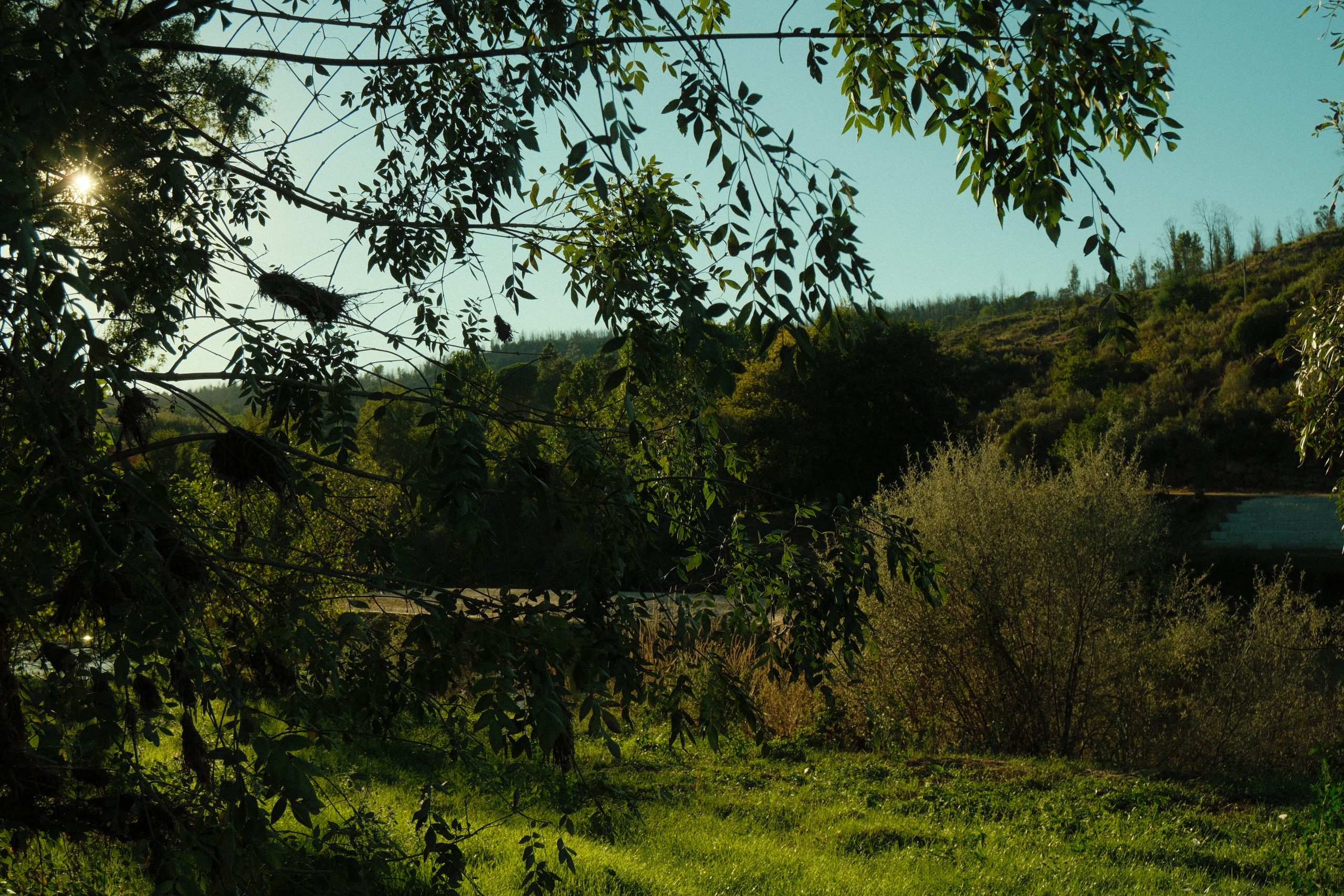 Quinta do Bugueiras